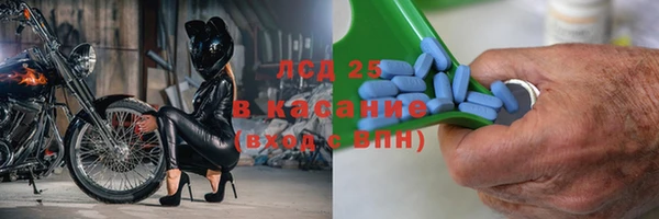 гидра Аркадак
