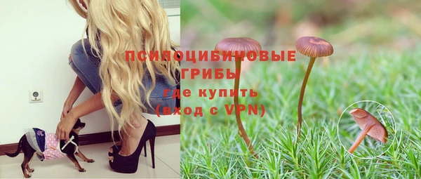 гидра Аркадак
