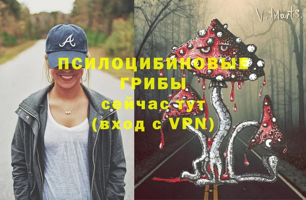 гидра Аркадак