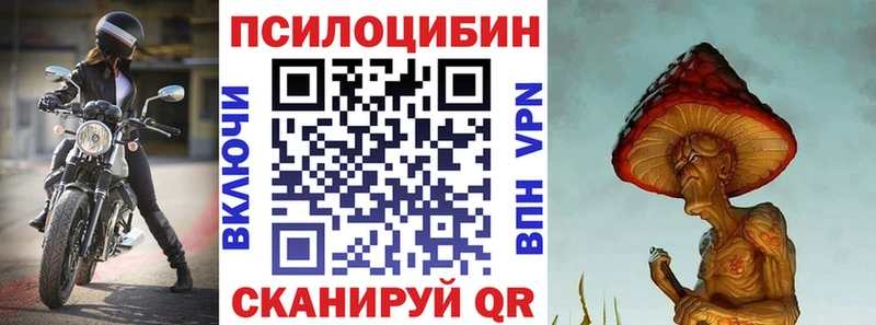 Псилоцибиновые грибы мицелий  Сысерть 